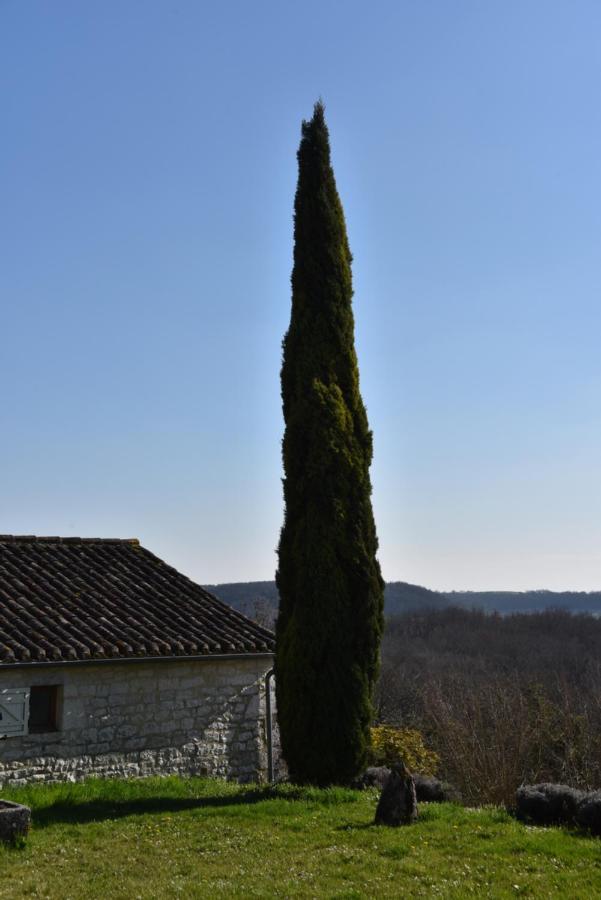 Villa Les Collines Du Quercy Blanc Castelnau-Montratier Exterior foto